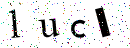 Please fill out the captcha 